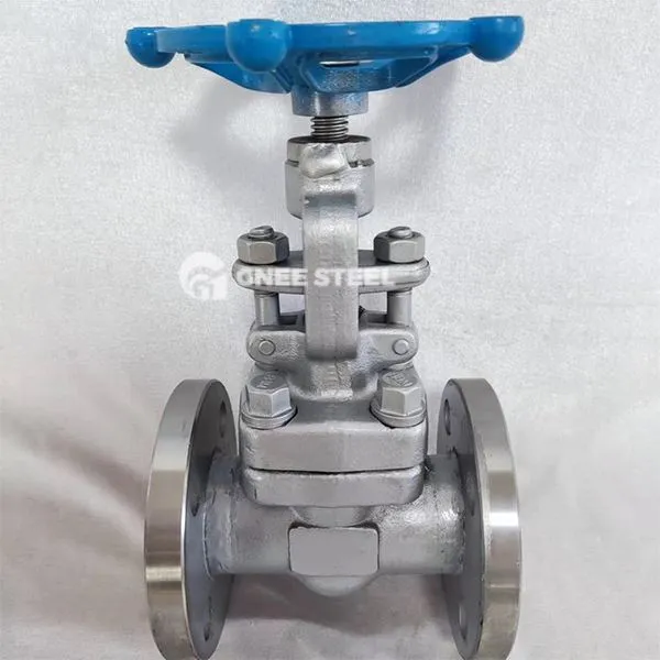 API 602 globuslari klapan