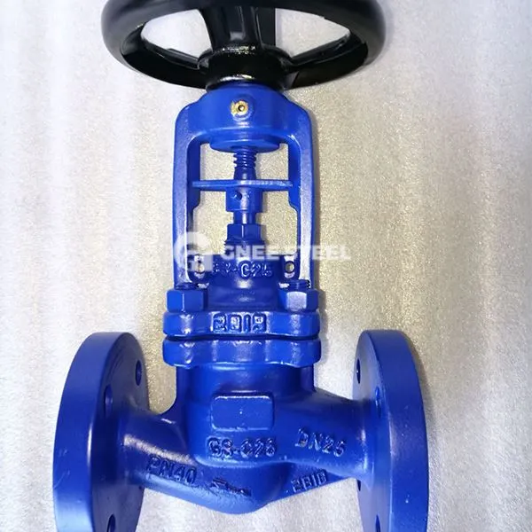 Bellow muhr globus klapanlari