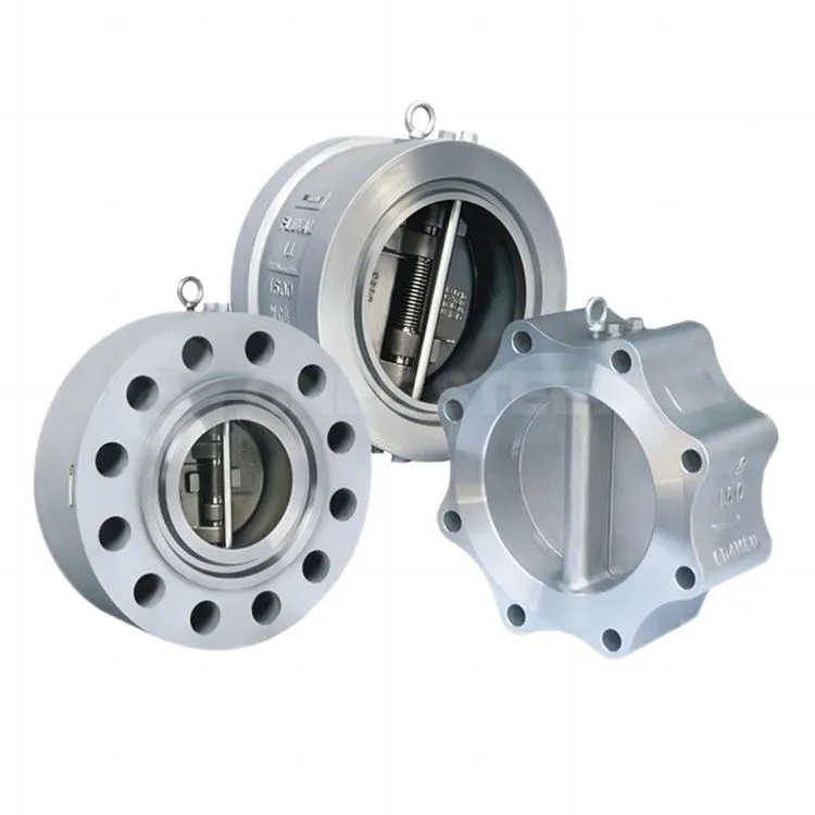 Ikki plastinkali lug'at tipidagi nazorat valfi