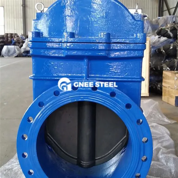 ENGLANGLANEATE temir ekilgan eshik variant