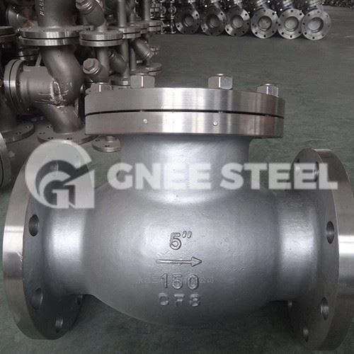 Duplex Stainless Steel Check Valve