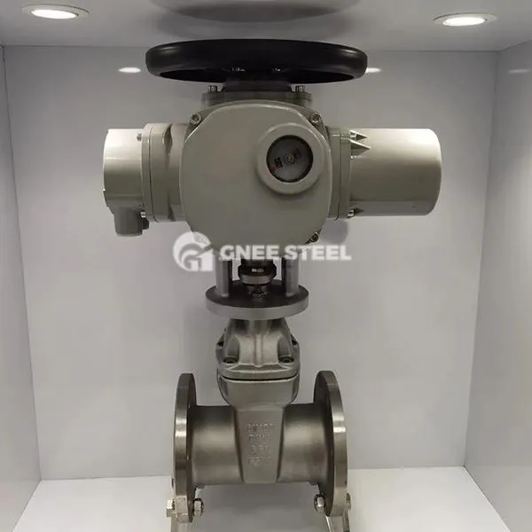 Elektr dalangan eshigi klapanlari