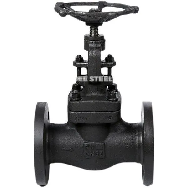 Yuqori bosimli globe valfi