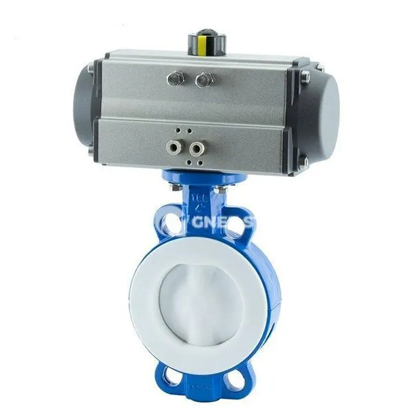 Pnevmatik bug'li kapalak valf