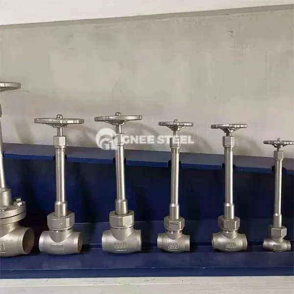 Zanglamaydigan po'latdan yasalgan kremogenik glober klapan